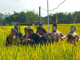 Simbol Ketahanan Pangan Hakiki, 300 Tumpeng Iringi Tradisi Methik Pari Desa Glinggang Ponorogo 