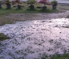 EMP Energi Riau Tangani Rembesan Sisa Minyak dari Kebocoran Pipa Water Injection