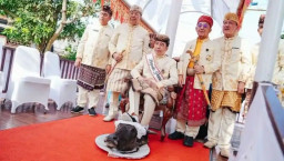 Jokowi Injak Kepala Kerbau di Lampung, PDIP: Sombong Amat!