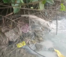 Warga Sedayu Lawas Keluhkan Bau Limbah Pabrik Pengolahan Ikan yang Diduga Dibuang ke Muara Laut