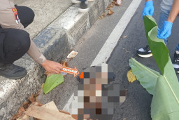 Berawal dari Bungkusan Plastik Hitam, Penemuan Jasad Bayi di Flyover Tanah Baru Depok Gegerkan Warga