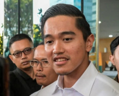 Perusahaan Pengolahan Udang Beku Milik Kaesang Dililit Utang Rp 2,8 Triliun