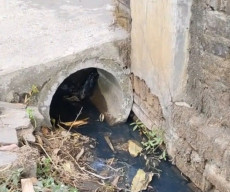 SPPG Grogol Ponorogo, Diduga Buang Limbah Sembarangan