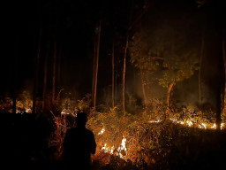 Diduga Sengaja Dibakar, 2 Hektar Hutan Perhutani di Sampung Ponorogo Dilalap Api