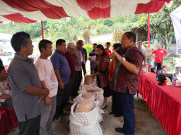 Ketua PDIP Sumut Rapidin Simbolon Berikan Benih Padi  dan Pupuk ke Petani 