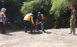Sinergi Hijau di TMMD 129 Bojonegoro: Babinsa Kesongo dan DLH 'Keroyokan' Buat Lubang Tanam Pohon untuk Jaga Tanggul