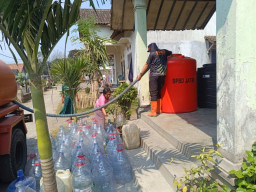 Kekeringan Jember Makin Meluas, 1.052 KK Terdampak di 8 Kecamatan