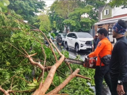 BPBD Surabaya Antisipasi Bencana Hidrometeorologi, Warga Diimbau Tak Perlu Khawatir