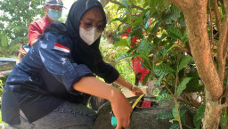 Tak Terawat, BPCB Jatim Identifikasi Benda Purbakala di Ponorogo