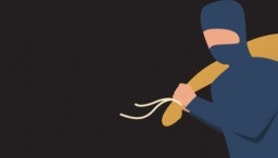 Curi Tanaman Hias, Ridho Dibebaskan Jaksa