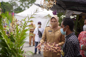 Batu Shining Orchid Week 2021, Diikuti 54 Stand Anggrek dari Seluruh Indonesia