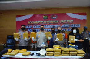Jajaran Polres Bekasi Kota Berhasil Amankan 36 Kg Ganja Siap Edar