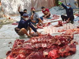 Salurkan Daging Qurban ke Warga, MAJT Potong 10 Sapi dan 13 Kambing