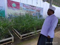 Pesantren Fadhlul Fadhlan Bekali Santrinya Budidaya Ketahanan Pangan dan Obat