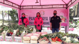 Hasil Panen Raya P2L Bhayangkari Cabang Batu, Dibagikan secara Gratis