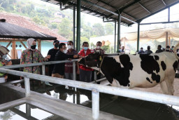 Kelompok Tani Margomulyo Dusun Brau, Dapat Bantuan dari Pemkot Batu