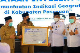 Mangga Putar Pasuruan Didaftarkan Sebagai Produk Kekayaan Intelektual