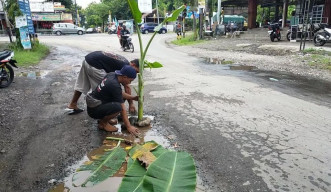 Protes Jalan Rusak di Ponorogo, Pagi Ditanam Siang Ditambal