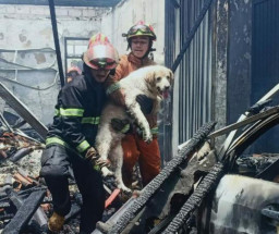 Rumah dan Mobil Hangus Terbakar, 2 Orang Penghuni Serta 1 Anjing Luka Bakar