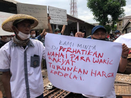 Harga Kedelai Meroket, Tempe di Depok Mogok Produksi selama 3 Hari