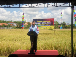 Lapas Pamekasan Panen Raya Hasil Karya WBP