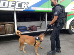 BNN Gelar Serangkaian Tes Urine Bagi Pengemudi Bus di Terminal Kampung Rambutan