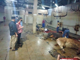 Antisipasi Wabah PMK dan Cek Stok Daging di Surabaya, DPRD Jatim Sidak RPH Pegirikan
