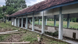 Pasar Mangkrak 11 Tahun di Ponorogo Dilirik Jadi Sentra Buah