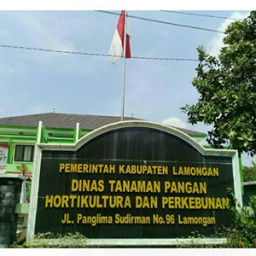 Dugaan Korupsi di Distan Lamongan, Masih Menunggu Fakta Persidangan