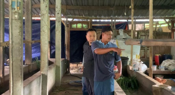 Rugi Puluhan Juta Akibat PMK, Peternak Desak Pemkab Ponorogo Ringankan Angsuran Bank