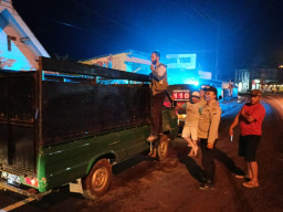 Angkut Hewan tanpa SKKH, Wajib Putar Balik