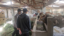 Bhabinkamtibmas Desa Oro-oro Ombo Kunjungi Peternak