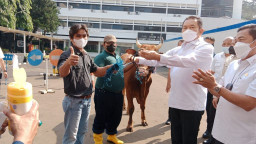 Jelang Idul Adha 1443 H, Jaksa Agung Siapkan 30 Ekor Sapi