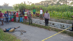 Mengerikan, Ponirin Tewas Dililit Ular Sanca Kembang di Pinggir Sawah