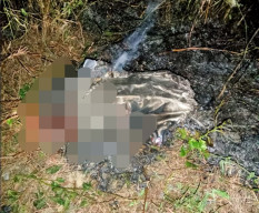 Pesawat Latih Jatuh di Blora, 1 Tewas