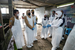 Gubernur Jatim  Kunker di Kota Batu, Lihat Pelaksanaan Vaksinasi PMK Tahap II