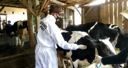 Cegah Penyebaran PMK, Polres Batu Turunkan 5 Tim Vaksinator Terlatih