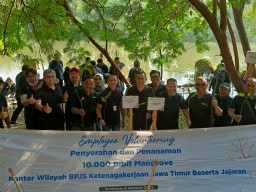 Insan BPJS Ketenagakerjaan Jatim Employee Volunteering Tanam 10.000 Mangrove