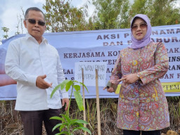 Wakil Dewan Pakar KMDT Sebut Danau Toba Tak Kalah Dengan Swiss