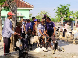 Setelah 5 Bulan Tutup, Pasar Hewan Lamongan Kembali Dibuka