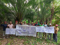 Dambakan Presiden Antikorupsi, Petani Sawit: Kami Dukung Pak Firli