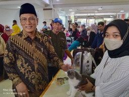 Kembangkan Komoditas Hewan dengan Vaksin Rabies