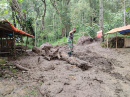 Longsor Tutup Jalur Wisata Telaga Ngebel Ponorogo, Warga: Kami Butuh Alat Berat