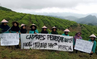 Berlatar Penegak Hukum, Firli Diminta Pemetik Teh Maju Pilpres