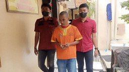 Baru Bebas dari Penjara, Pria Asal Lamongan Ini Kembali Ditangkap karena Curi Ponsel
