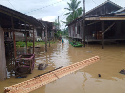 Hujan Deras di Pegunungan Meratus,  Tiga Desa Terendam Banjir