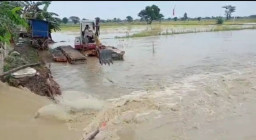 Tanggul Jebol Rendam Puluhan Hektar Lahan Pertanian dan Pemukiman di Lamongan