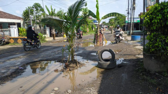 Rusak Tak Kunjung Diperbaiki, Warga Ponorogo Ini Tanam Pohon di Jalan