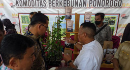 Pemanfaatan DBHCT Dongkrak Komoditi Perkebunan di Ponorogo