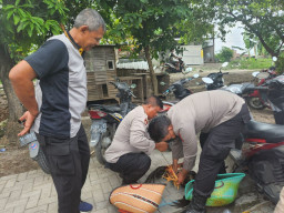 Judi Sabung Ayam di Candi, Sidoarjo Bubar Didatangi Polisi